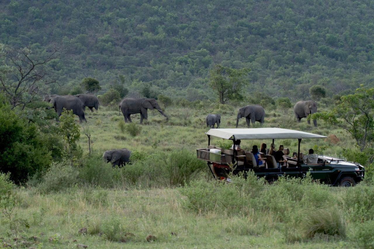 Inzalo Safari Lodge Welgevonden Game Reserve Zewnętrze zdjęcie