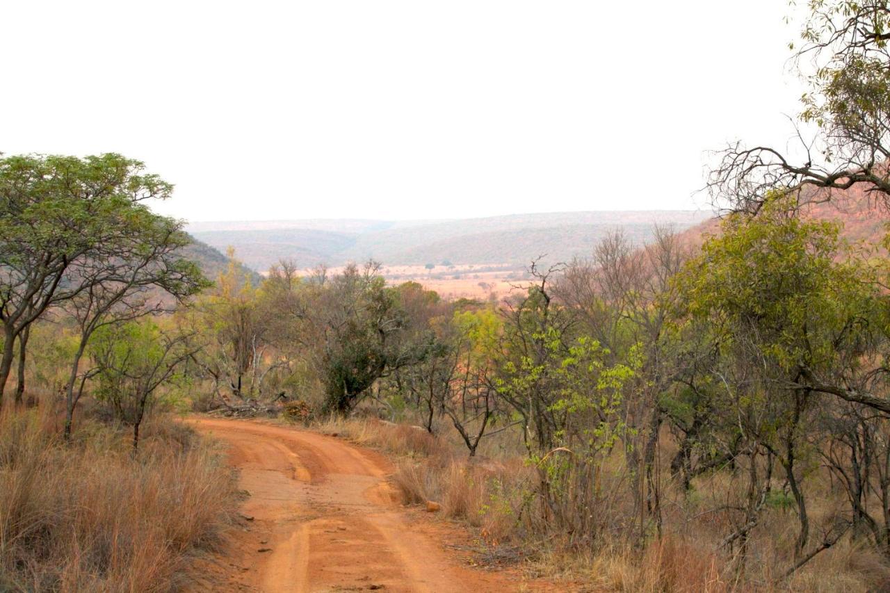 Inzalo Safari Lodge Welgevonden Game Reserve Zewnętrze zdjęcie