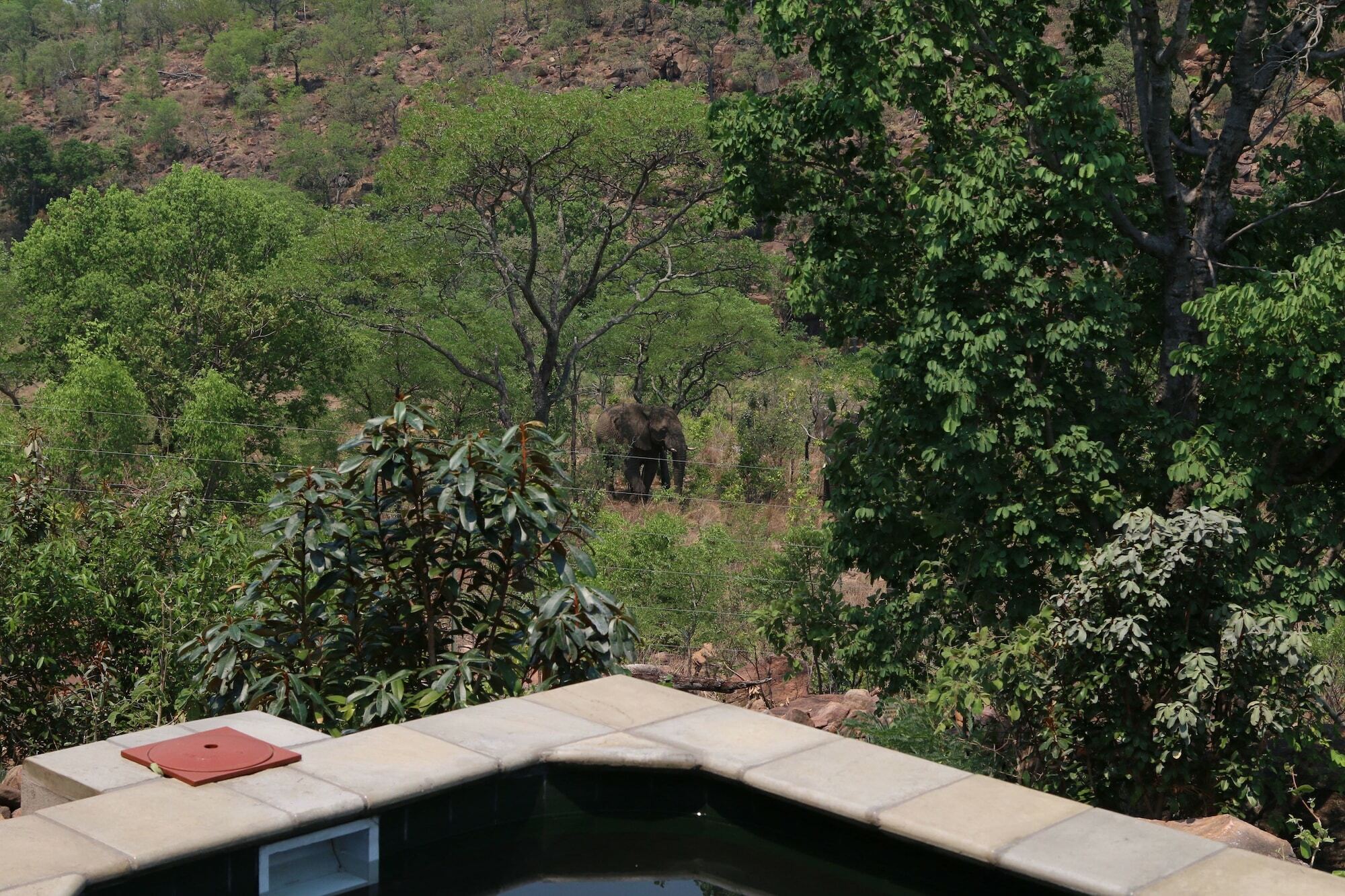 Inzalo Safari Lodge Welgevonden Game Reserve Zewnętrze zdjęcie